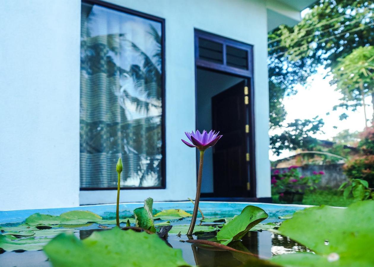 Plantation Inn Weligama Dış mekan fotoğraf