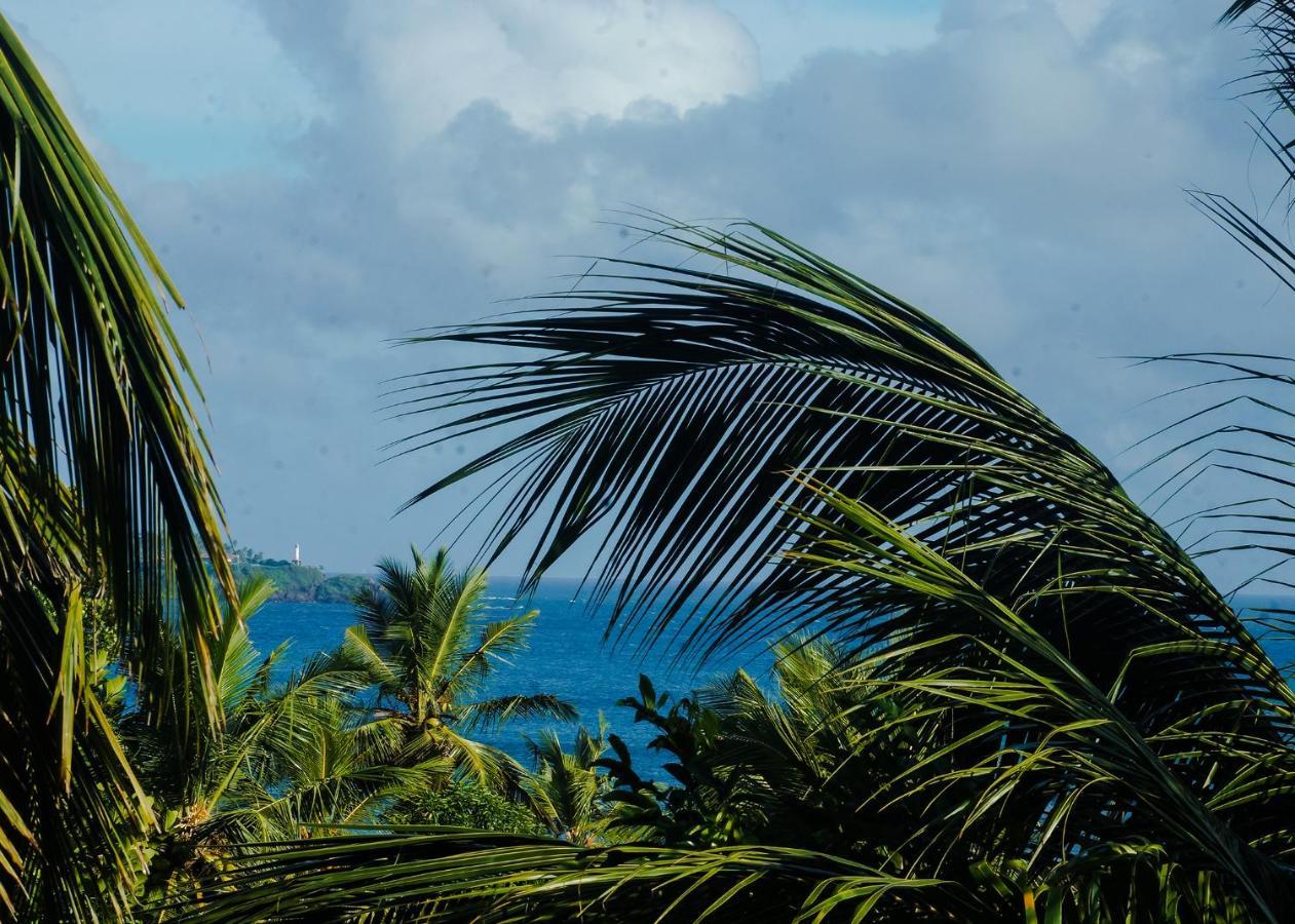 Plantation Inn Weligama Dış mekan fotoğraf