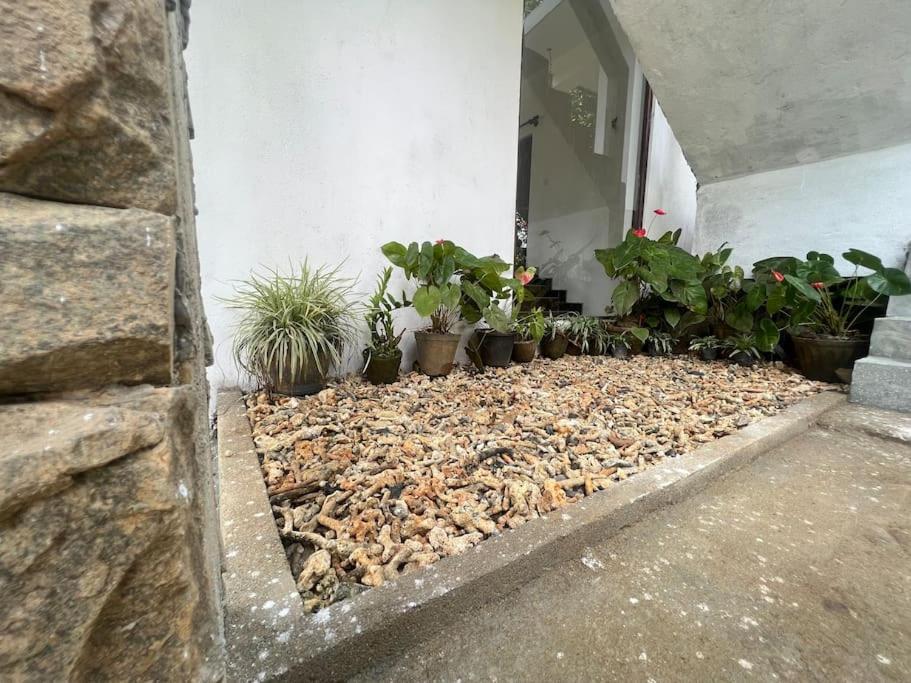 Plantation Inn Weligama Dış mekan fotoğraf